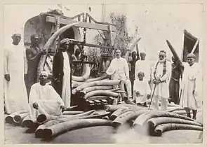 Marchands d'ivoire à Zanzibar, v. 1890-1910.