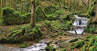 L'ancienne tuilerie et sa cascade.