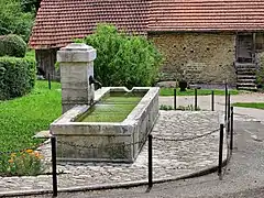 La fontaine-abreuvoir.