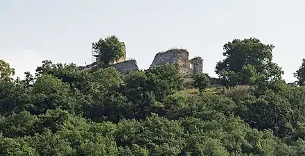 Ruines du château féodal