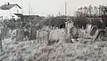 Vue du cimetière dans les années 50. Photo dans la collection du musée juif de Suisse.