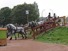 Quatre chevaux gris attelés de profil gauche descendent une pente encadrée de barrières en bois.