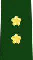 陸将補(général de brigade)
