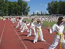 Enfants réalisant collectivement un kata lors d'une démonstration à Bacalod (Philippines).