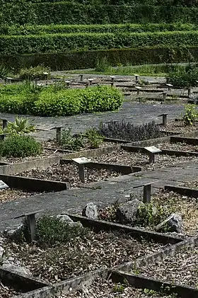 Image illustrative de l’article Jardin des plantes médicinales Paul Moens