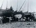 Marins passant du coaltar sur leurs bateaux, des sloups langoustiers, à marée basse (photo prise par Jacques de Thézac au printemps 1934)