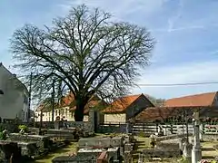 Le cimetière, au centre du village.