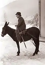 Homme chevauchant un âne à Otiški Vrh (en)