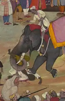 Illustration en couleur d'un élephant monté par un cornac écrasant un homme.