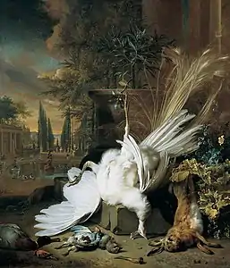Le Paon blanc (1692), de Jan Weenix.
