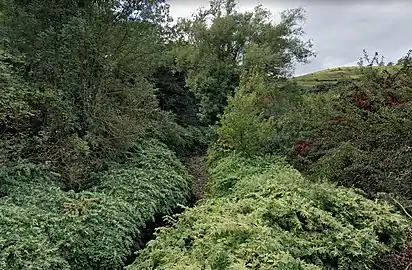 Le Janon entre Saint-Étienne à gauche et Saint-Jean-Bonnefonds à droite