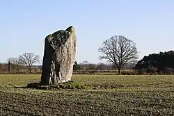 La Pierre des Fées ou menhir de Belle-Vue.