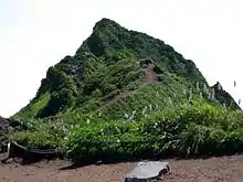 Photo couleur d'un sommet de montagne, un pic rocheux recouvert de verdure.