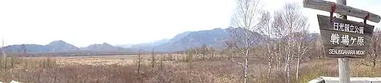 Photo couleur (panoramique) d'une plaine herbeuse au printemps, prasemée d'arbres et d'arbustes sans feuilles, sur fond de montagnes et d'un ciel blanc laiteux.