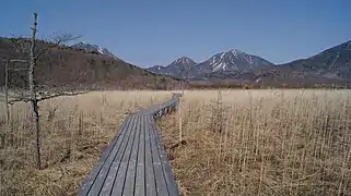 Photo couleur d'une plaine herbeuse couleur paille, avec, en arrière-plan, une chaîne de montagnes parsemées de traînées de neige, sur fond de ciel bleu.