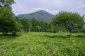 Photo couleur d'une plaine herbeuse verdoyante, avec, au second plan, des arbres, et, en arrière-plan, une montagne boisée, sous un ciel nuageux.