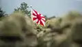 Un drapeau des Forces japonaises d'autodéfense.