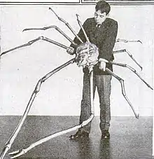 Le crabe-araignée géant du Japon peut atteindre 3,5 m d'envergure.