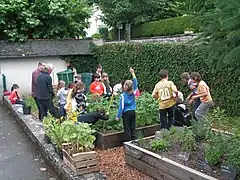 élèves devant un potager.