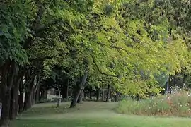 Allées du jardin avec, à droite, une prairie fleurie.