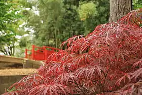 Image illustrative de l’article Jardin botanique de Bayonne