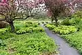 Vue du Jardin Roger-Van den Hende