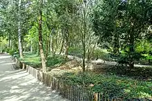 Sentier arboré dans le jardin colonial de Laeken