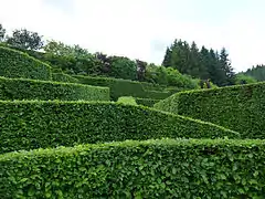 Labyrinthe du Jardin Flipper