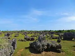 Le Jardin de Corail à marée basse.