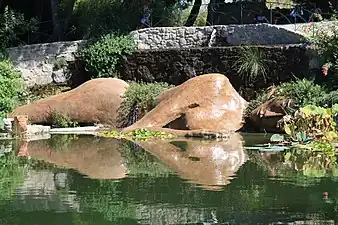 Jardin de Saint-Adrien.