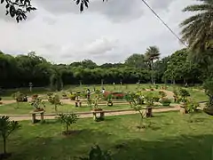 Jardin de bonsaïs.