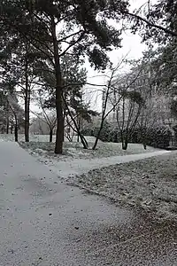 Le jardin en hiver.