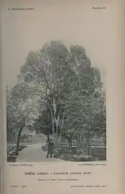 Un homme en costume sombre et chapeau pose devant des arbres dans l'allée d'un parc.