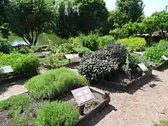 Le jardin des sens.