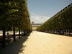Une allée du jardin du Palais-Royal