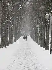 Allée du jardin sous la neige.