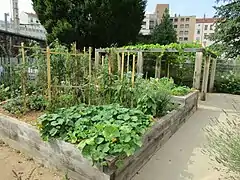 Jardinage en carrés (France).
