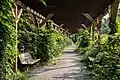 Pergola du Jardin Roger-Van den Hende