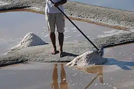 Travaux dans les Jardins des Salines de l'Aubraie, 2010.