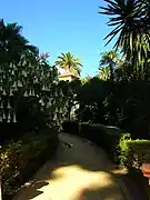 Une allée des jardins de Murillo