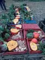 Partage des paniers de légumes en fin de matinée.