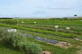 Les Jardins d'Imbermais.