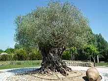 Jardins du Monde - Royan, Charente-Maritime, France