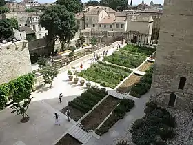 Image illustrative de l’article Jardins du palais des papes d'Avignon