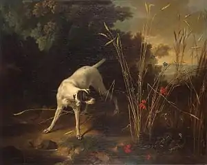 Un chien épagneul en arrêt devant deux perdrix dans des bleds, Jean-Baptiste Oudry. 129 × 162 cm (agrandi)(Musée de l'Ermitage, Russie)