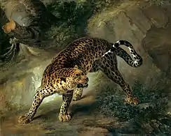 Léopard, Jean-Baptiste Oudry (1741).