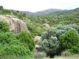 Paysage du Djebel Korbous dans le cap Bon