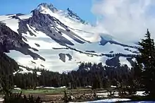 Une petite vallée à fond plat au premier plan et le mont Jefferson dominant derrière.