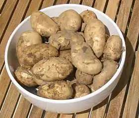 Image illustrative de l’article Jersey Royal Potatoes