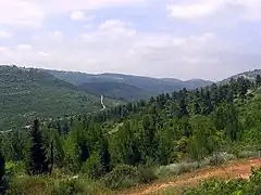 Les collines de Judée aux environs de Jérusalem.
